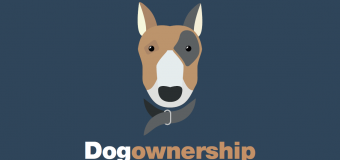 Ownership of dogs in DMBC tenancies and leasehold properties – Draft policy